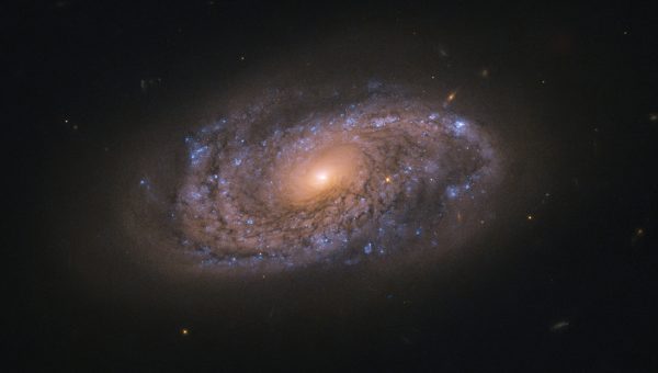 Ilustračný obrázok: galaxia NGC2906, Zdroj: NASA