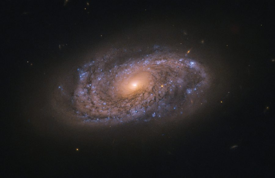 Ilustračný obrázok: galaxia NGC2906, Zdroj: NASA