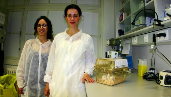 RNDr. Soňa Kucharíková, PhD. (vpravo) s kolegyňou Celiou v Biotechnologickom laboratóriu na KU Louevene. Zdroj: KU Louvene