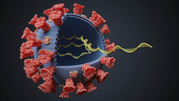 Ilustračná grafika: Nový koronavírus so zobrazenou molekulou RNA. Zdroj: iStockphoto.com