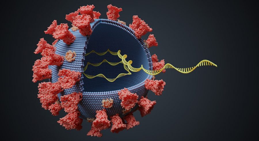 Ilustračná grafika: Nový koronavírus so zobrazenou molekulou RNA. Zdroj: iStockphoto.com