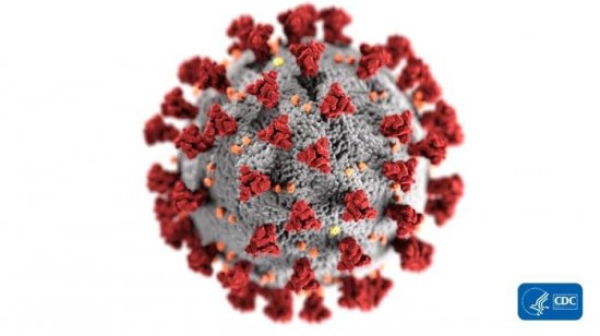 Ilustračné foto: koronavírus, Zdroj: Internet (https://phil.cdc.gov/ )