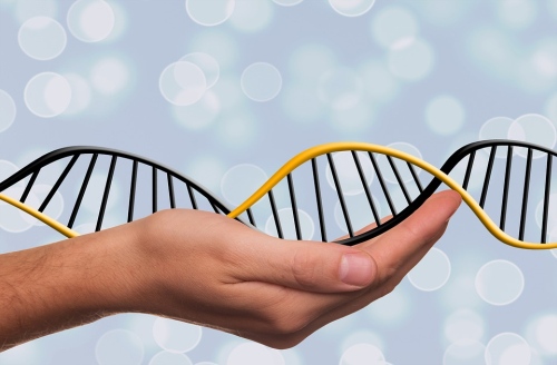 Technický pokrok v oblasti DNA čipov umožnil takto vyšetriť u pacienta v podstate všetky časté  varianty DNA / pixabay.com