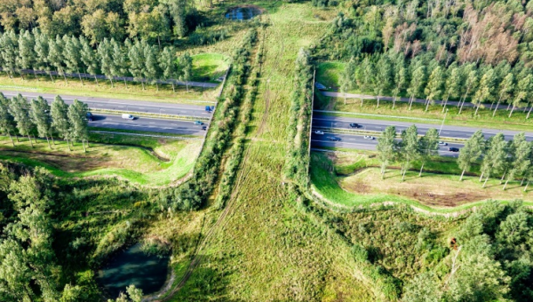 Ukážka zeleného migračného mosta, Zdroj: https://www.reddit.com/r/pics/comments/2xwo71/bridge_for_the_animals_to_cross_the_highway/