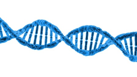 Ilustračné foto: DNA; Pixabay.com /PublicDomainPictures/  Uverejnila: VČ