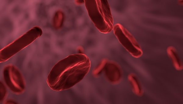 Ilustračné foto: červené krvinky; Pixabay.com /allinonemovie/