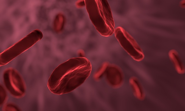 Ilustračné foto: červené krvinky; Pixabay.com /allinonemovie/