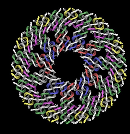 Vizualizácia 3D nanoštruktúr DNA
