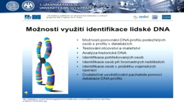 Možnosti využitia identifikácie ľudskej DNA