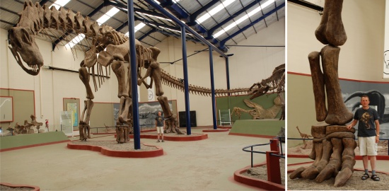 Jeden z najväčších suchozemských tvorov planéty titanosaurid Argentinosaurus z Južnej Ameriky. Foto z archívu Martina Kundráta