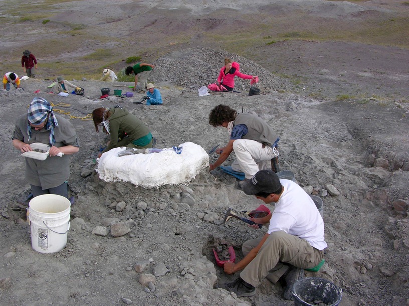 Nálezisko hniezdísk troodonov v Egg Mountains, Montana, USA