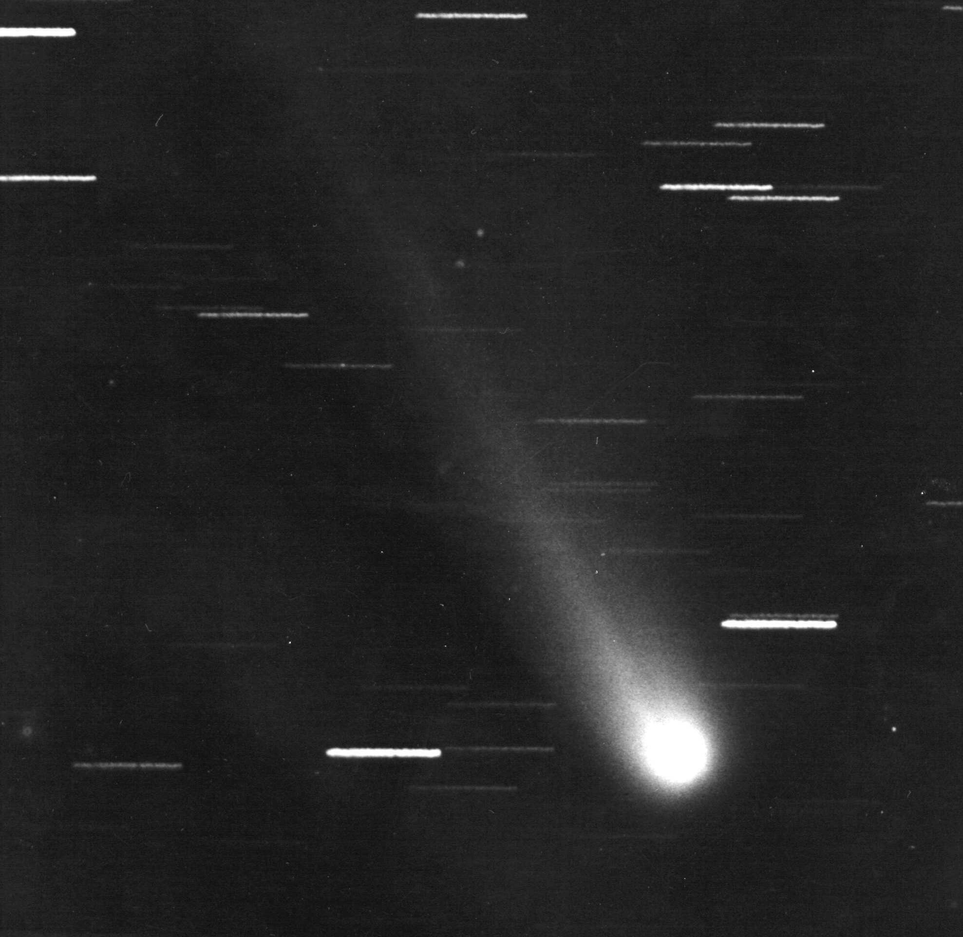 Kométa C/1957 P1 Mrkos. Zdroj: archív AsÚ SAV