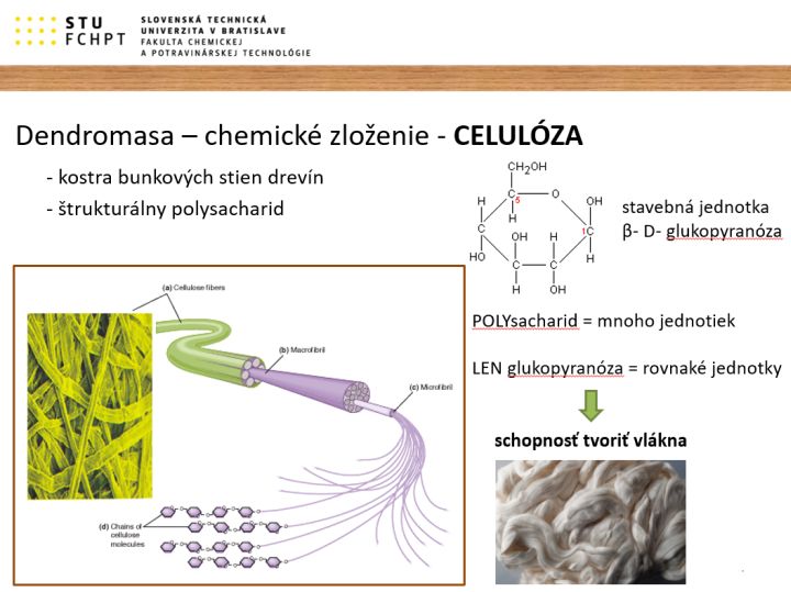 Dendromasa – chemické zloženie – celulóza