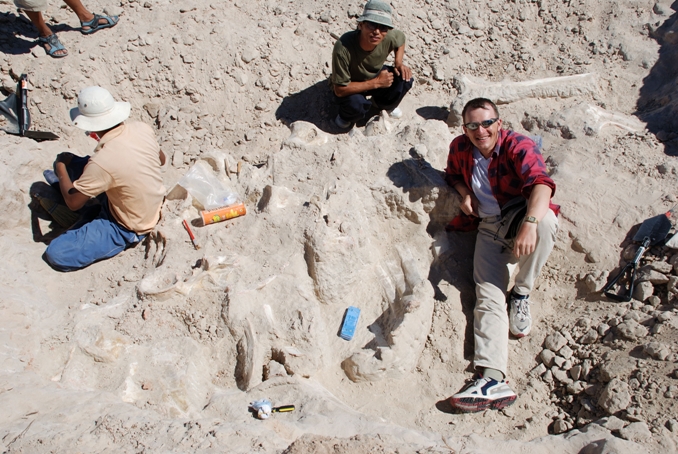 -	Pri výkope obrovských kosti dinosaura v Gobi počas korejsko-mongolskej expedície