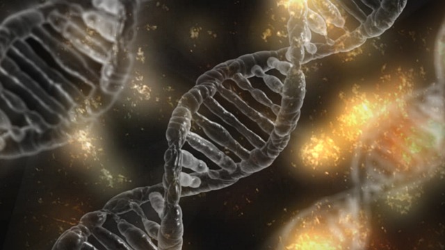 ilustračné foto / DNA