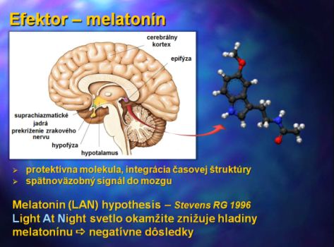 Efektor – melatonín