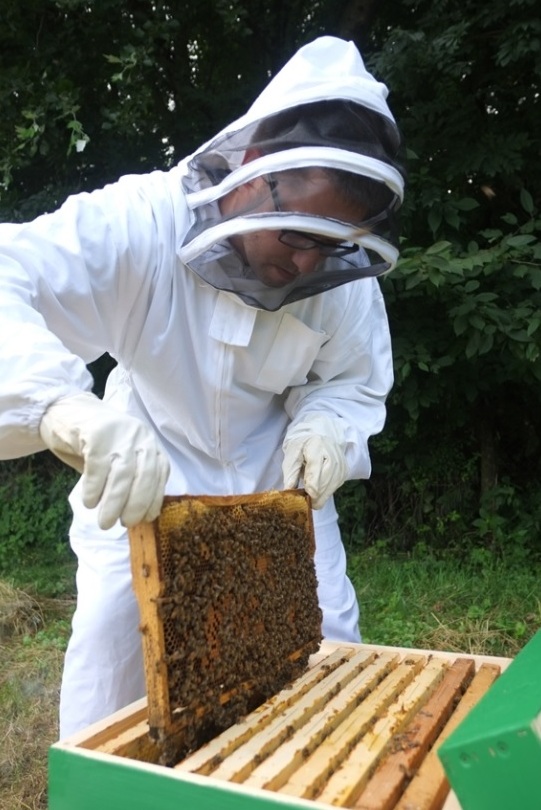 Juraj Majtán z Ústavu molekulárnej biológie SAV, ktorý sa venuje výskumu medu