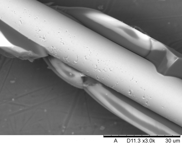 Fotografia mikrodrôtu s odhaleným jadrom. Na okrajoch vidieť zvyšky krycieho skla. Fotené elektrónovým mikroskopom pri zväčšení 3000 x