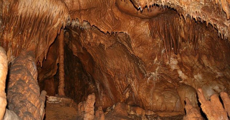 Jasovská jaskyňa v Slovenskom krase, kde objavili najstaršieho netopiera. Zdroj: Wikipedia