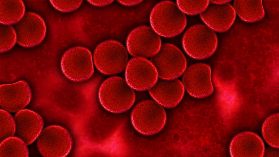 V krvnej plazme možno nájsť nádorovú DNA