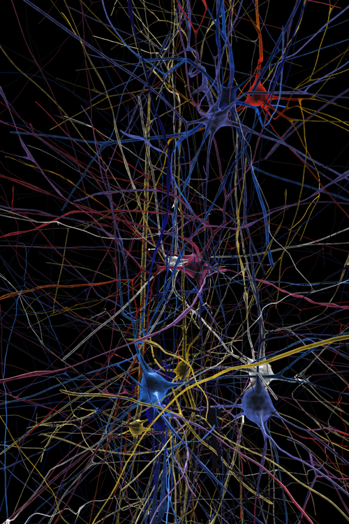 Neurálna sieť simulovaná na úrovni buniek, foto Blue Brain Project/EPFL