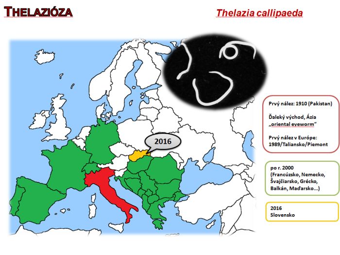 Thelazióza - výskyt