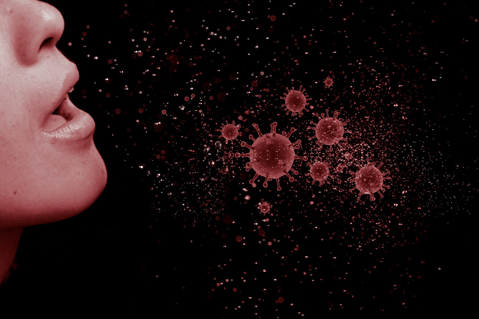 Ilustračný obrázok: koronavírus, Zdroj:Pixabay.com