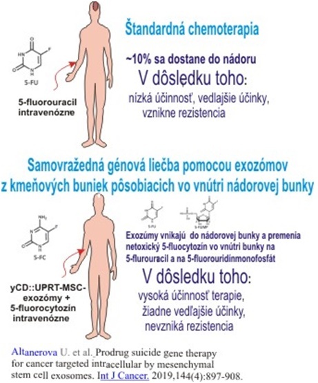 Schematický rozdiel medzi štandardnou chemoterapiou a terapiou prostredníctvom exozómov s dôsledkami pre pacienta (znázornenie)