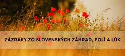 klikni na články – Zázraky zo slovenských záhrad, polí a lúk