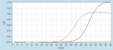 Detekcia dvoch pozitívnych vzoriek s využitím real-time RT-PCR (amplifikačné krivky zelenej a modrej farby) a jednej negatívnej vzorky (červená farba), Zdroj: prof. Ing. Štefan Vilček, DrSc.