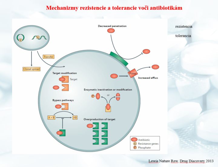 Mechanizmy rezistencie a tolerancie voči antibiotikám