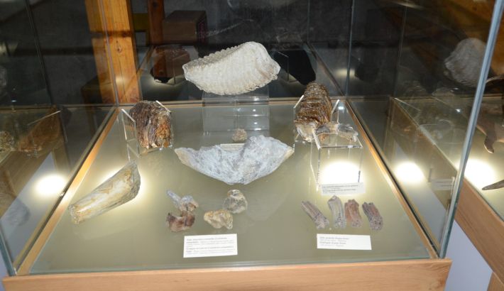 Ukázka vystavených exponátov v Hradnom múzeu vo Fiľakove  