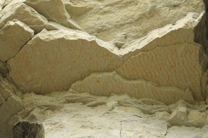 Záznam čerín na vrstvovej ploche sedimentov z lokality Balatonkenese, foto M. Šuja.