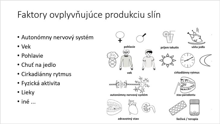 Faktory ovplyvňujúce produkciu slín, z prezentácie Ľ. Tóthovej