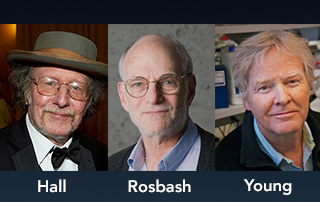 Jeffrey C. Hall, Michael Rosbash and Michael W. Young