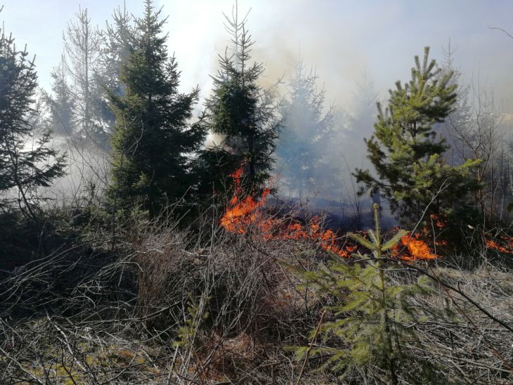Lesný požiar vo Vysokých Tatrách v apríli 2019